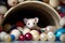 ferret peeking out from toy-filled tunnel