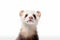 Ferret photo realistic illustration - Generative AI.