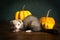 A ferret or polecat puppy in a stillife scene with pumpkins against a green background