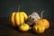 A ferret or polecat puppy in a stillife scene with pumpkins against a green background