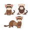 Ferret polecats in cartoon style, funny emoji faces vector