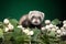 Ferret puppy is in green leaves