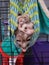 Ferret weasel pet animal sleeping hammock