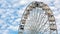 Ferris wheel in an amusement park for family entertainment.