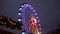 ferris wheel, amusement park, metal construction