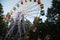 Ferris wheel attraction