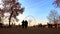 The ferris wheel on Concorde Square as seen from the Tuileries garden in Paris, France