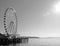 Ferris Wheel Landmark on the Waterfront Pier