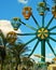 Ferris Wheel at Lion Country Safari