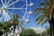 Ferris wheel. Old port Port Vell, Barcelona, Spain