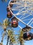 Ferris Wheel With Palm Trees