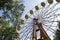 Ferris wheel park summer nature