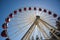 Ferris Wheel Perspective