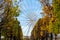 The Ferris wheel of the Place of the Concorde in Paris in autumn scenery.