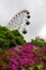 Ferris wheel and spring blooming flowers view