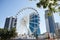 The Ferris wheel on top of the Transit Centre in Surfers Paradise