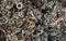 Ferrous of scraped metals, metal shavings at the workshop