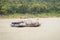 Ferry raft transfering cars over Mekong River, Laos