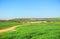 Fertile fields of crops planted with cereals in spring and livestock farming with grain silos, Extremadura, Spain