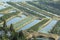 Fertile fields in the delta of Neretva River in Croatia