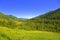 Fertile green valley at the foot of the mountain ranges. Altai, Siberia, Russia. Landscape