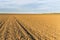 Fertile land, arable crop field, agricultural landscape