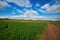 fertile plain, cultivated with wheat and oilseed rape, with blue sky and clouds