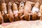 Fertile sow lying on hay and piglets suckling