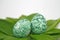 Fertility symbol, easter egg marbled with algae powder, fully organic