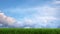 Fertilization and lawn care mowing grass blue sky 3D illustration