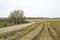 Fertilized cultivated field, fertilized green lentil field, fertilizer and agriculture
