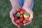 Fertilizer-free, drug-free and all-natural garden strawberry