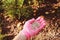 Fertilizing garden plants in summer. Gardener hand in glove