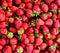 Fesh strawberry background