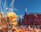 Festival `golden autumn` on Manezhnaya Square. Sunflowers and pumpkins in front of the Historical Museum on Red Square.