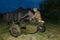 Festival of military history of Russia of XX century . Togliatti, July 7, 2017. Red army soldier on a motorcycle.