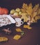 Festive apple pie with powdered sugar close-up with autumn leaves and pumpkin on the table