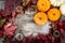 Festive autumn decor from pumpkins, pine and leaves on a  wooden background. Concept of Thanksgiving day or Halloween. Flat lay