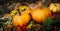 Festive autumn still life with pumpkins flowers and vegetables