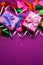 Festive background of purple material colorful balloons streamers confetti tow boxes gift Top view flat lay copy space