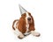 Festive Basset Hound Dog Wearing Party Hat