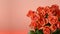 Festive blurred red background with a bouquet of gorgeous coral roses.
