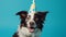 Festive canine donning a party hat, adding cheer to a vibrant blue background