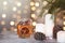 Festive card with candles and cones under a Christmas tree