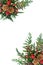 Festive Christmas Border with Gold Pine Cones and Winter Flora