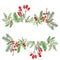Festive Christmas greenery banner with hand drawn watercolor winter evegreen plants and red berries