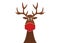 Festive Christmas reindeer wearing face mask for Corona virus protection. Christmas cartoon and reindeer with surgical red mask