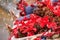 Festive cityscape - view of the dried anise fruits closeup on the Christmas Market