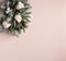 Festive composition of roses and nobilis branches on powdery background