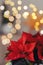 festive cozy interior arrangement, winter christmas concept, red poinsettia flower, lights